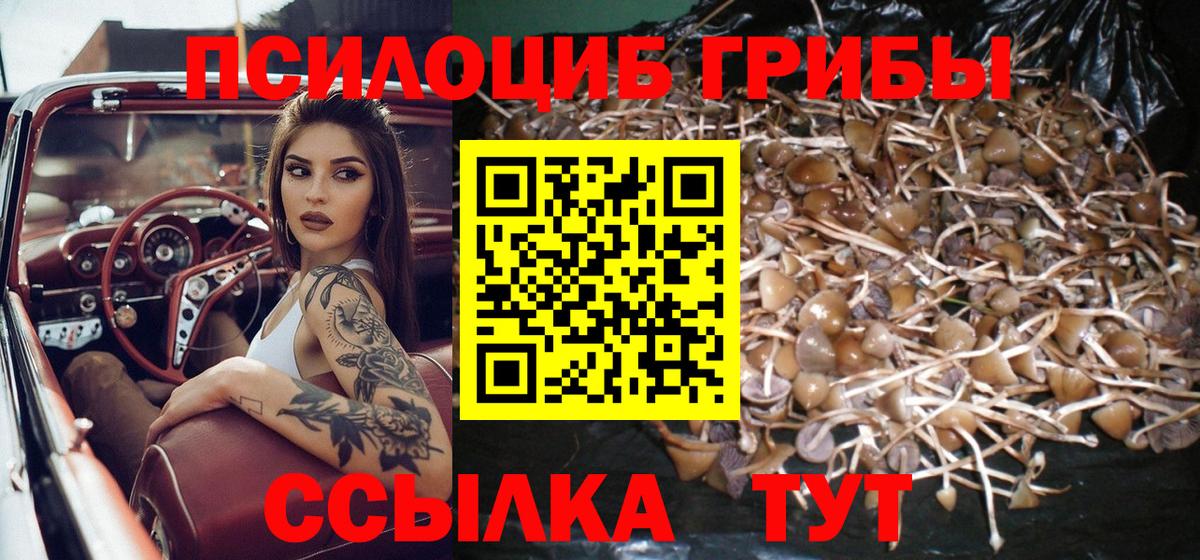 Псилоцибиновые грибы мицелий  Галлюциногенные грибы Magic Shrooms  Вход с VPN  Лесозаводск 